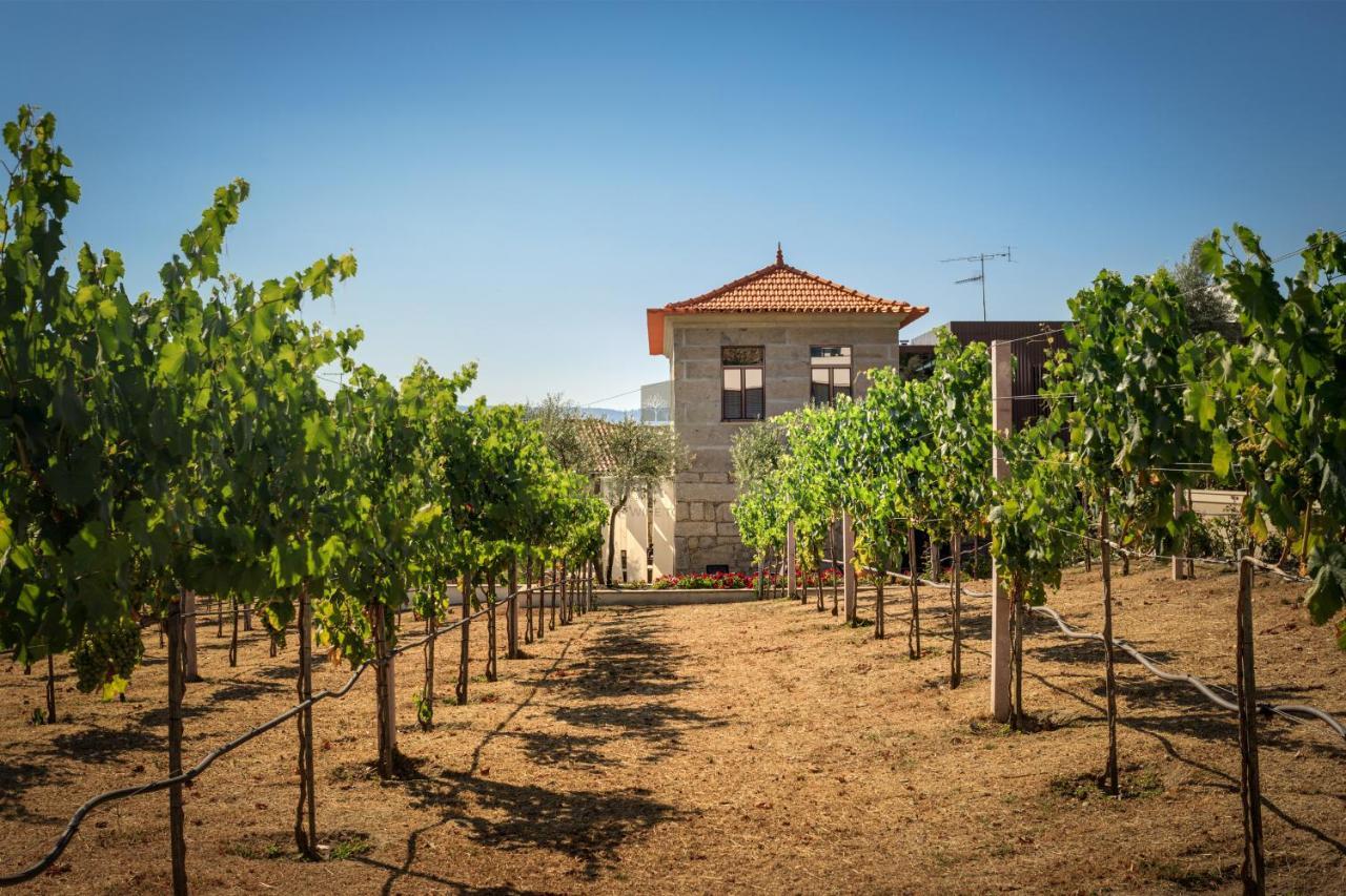 Quinta Do Aido - Winetourism Villa Cinfães Exterior photo
